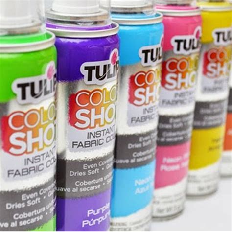 Tulip Colorshot Fabric Spray Paint 